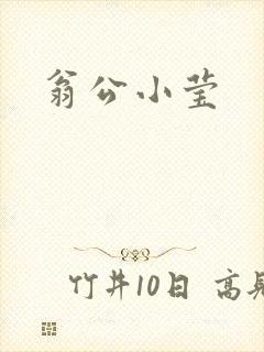 翁公小莹