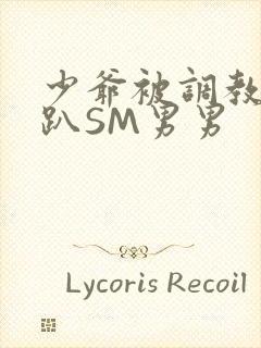少爷被调教室跪趴SM男男