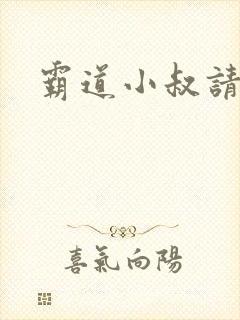 霸道小叔请轻撩