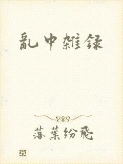 乱中杂录