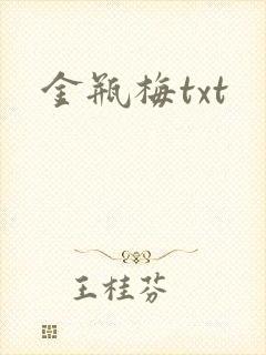 金瓶梅txt封面