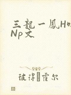 三龙一凤H啪肉Np文