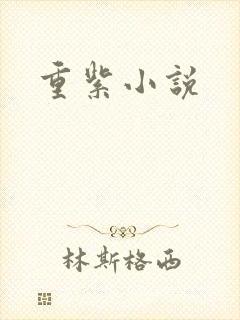 重紫小说