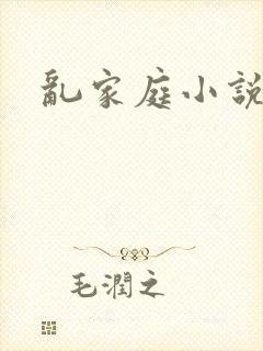 乱家庭小说封面