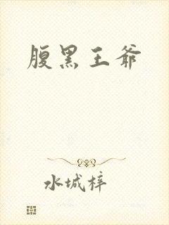 腹黑王爷封面