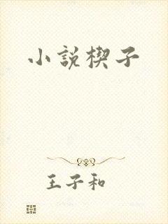 小说楔子
