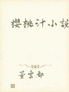 樱桃汁小说