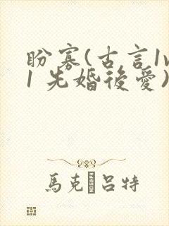 盼寡(古言1v1 先婚后爱)荔枝好多封面