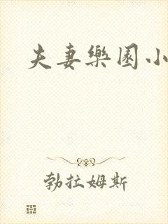 夫妻乐园小说封面