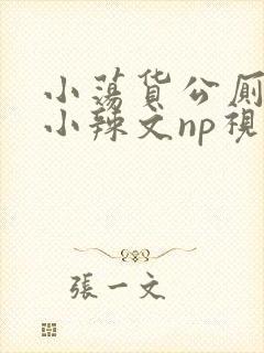 小荡货公厕h文小辣文np视频