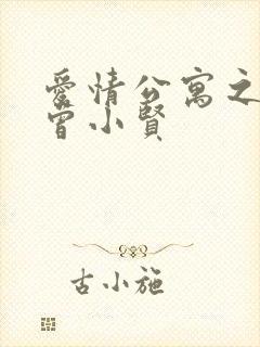 爱情公寓之极品曾小贤