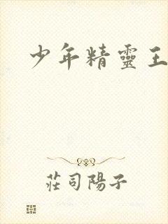 少年精灵王