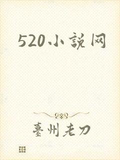 520小说网