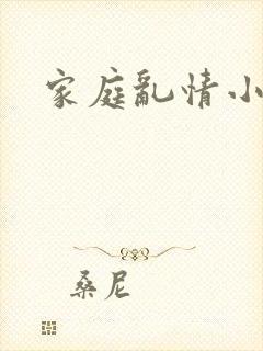 家庭乱情小说封面