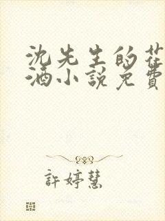 沈先生的花式调酒小说免费阅读