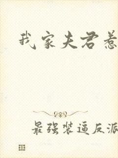 我家夫君惹不起