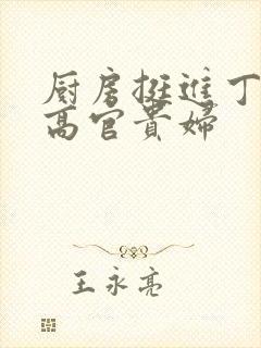厨房挺进丁字裤高官贵妇