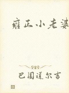 雍正小老婆封面