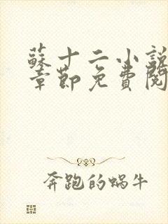 苏十二小说最新章节免费阅读全文