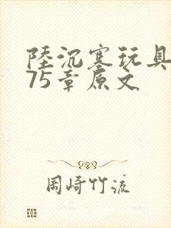陆沉塞玩具高速75章原文封面