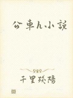 公车h小说