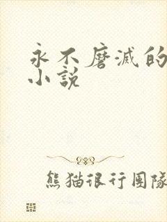 永不磨灭的番号小说
