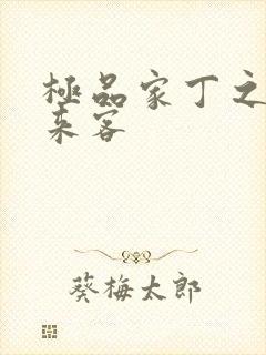 极品家丁之远方来客