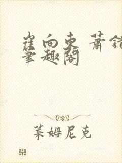 崔向东 萧错 笔趣阁