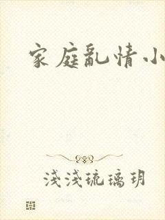 家庭乱情小说封面