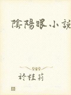 阴阳眼小说