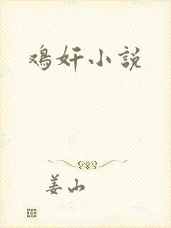 鸡奸小说