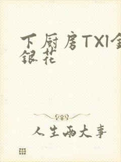 下厨房TXl金银花封面