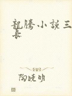 龙腾小说三宝局长