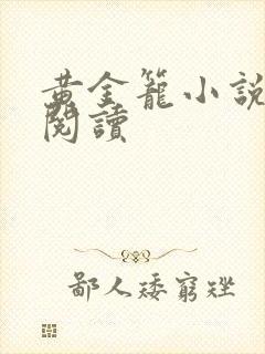黄金笼小说免费阅读封面