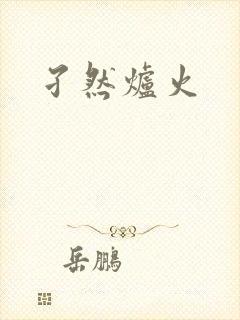 孑然炉火