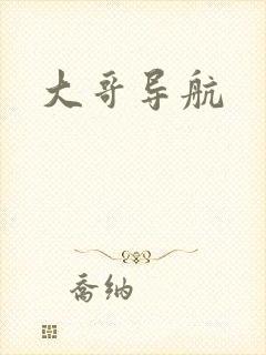 大哥导航