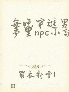 每晚穿进男神的梦里npc小说封面