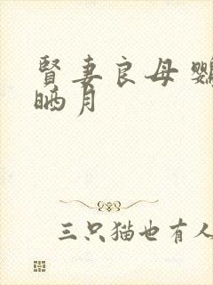 贤妻良母 鹦鹉晒月封面