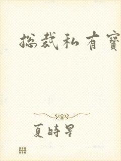 总裁私有宝贝