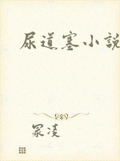 尿道塞小说