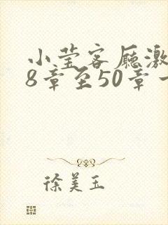 小莹客厅激情38章至50章一区封面