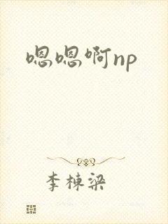 嗯嗯啊np封面