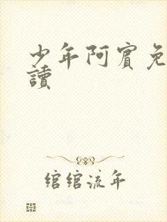 少年阿宾免费阅读
