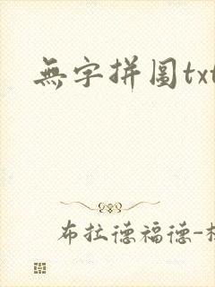 无字拼图txt封面