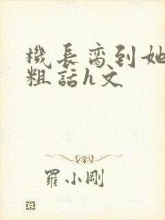 机长脔到她哭h粗话h文封面