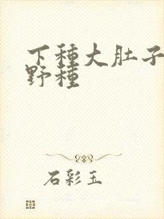 下种大肚子怀孕野种