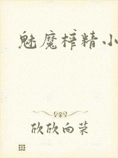 魅魔榨精小说
