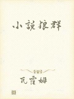 小说狼群