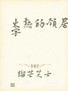 火热的领居中文字