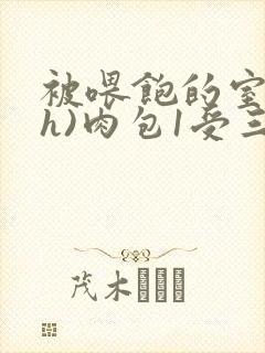 被喂饱的室友(h)肉包1受三攻封面